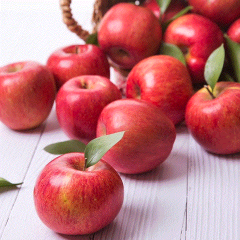 [오르뗀시아] 바른 세척 사과