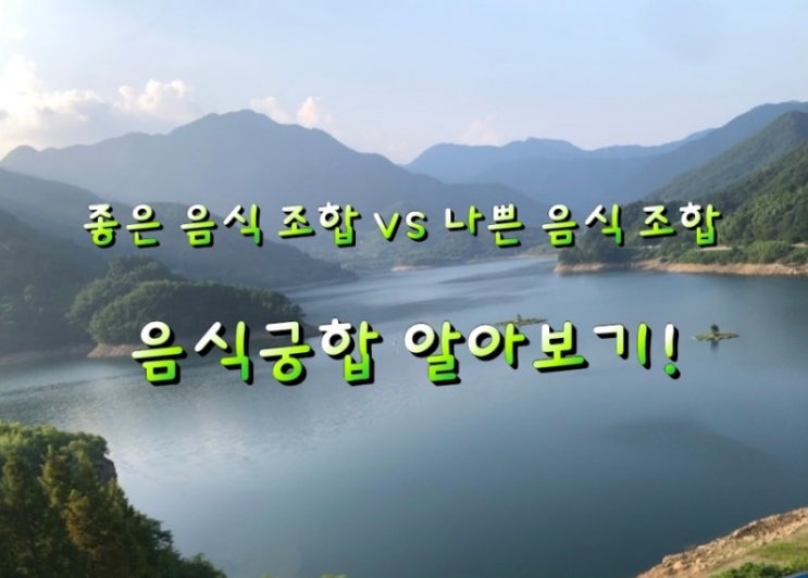 좋은 음식 조합 vs 나쁜 음식 조합 음식궁합 알아보기! 좋은 음식 조합 vs 나쁜 음식 조합 음식궁합 알아보기!
