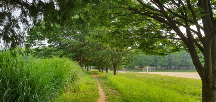  정부과천청사역 근처 맨발걷기