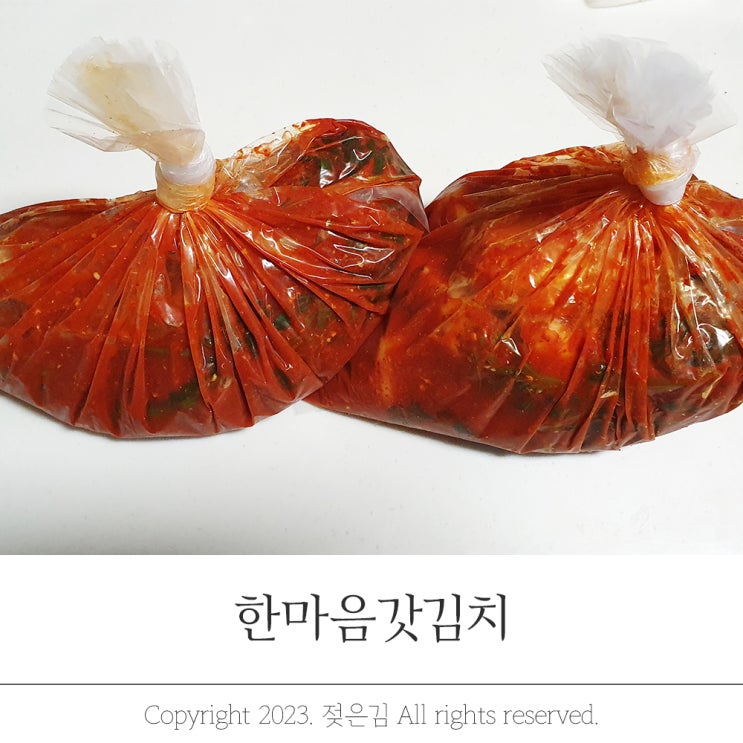 전라도김치추천 여수 갓김치 택배로 만나본 한마음갓김치 전라도김치추천 여수 갓김치 택배로 만나본 한마음갓김치