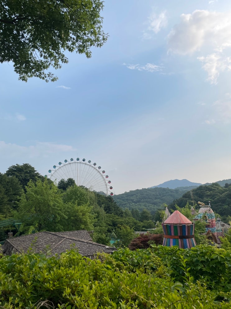 Everland guide for foreigners- (6) Buying Q pass