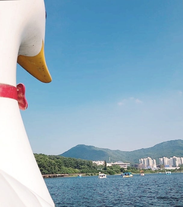  의왕 가볼만한곳 백운호수! 오리배, 카페 등 백운호수 놀거리 이모저모~
