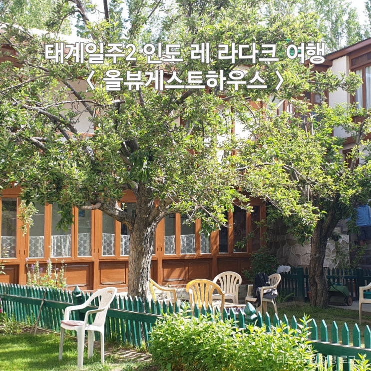  태계일주2 인도 레 라다크 여행  : 다시 가고 싶은 한국인의 성지 올뷰게스트하우스