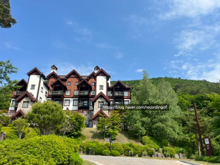  용평리조트 버치힐콘도 카카오 객실(37평) 후기