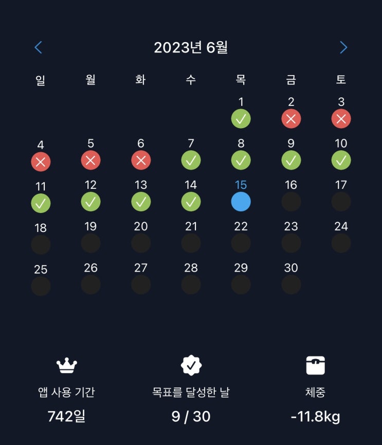  버피 (버피 테스트 / 슬로우 버피 ) 1년 3개월 반