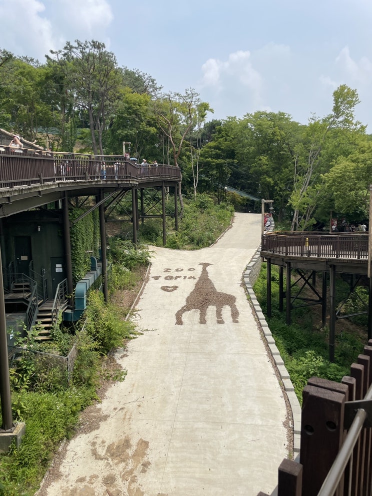  Everland guide for foreigners- (5) Zootopia