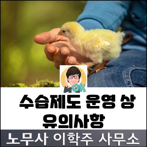 상담사례 : 수습종료 문제 (고양노무사, 고양시 노무사)