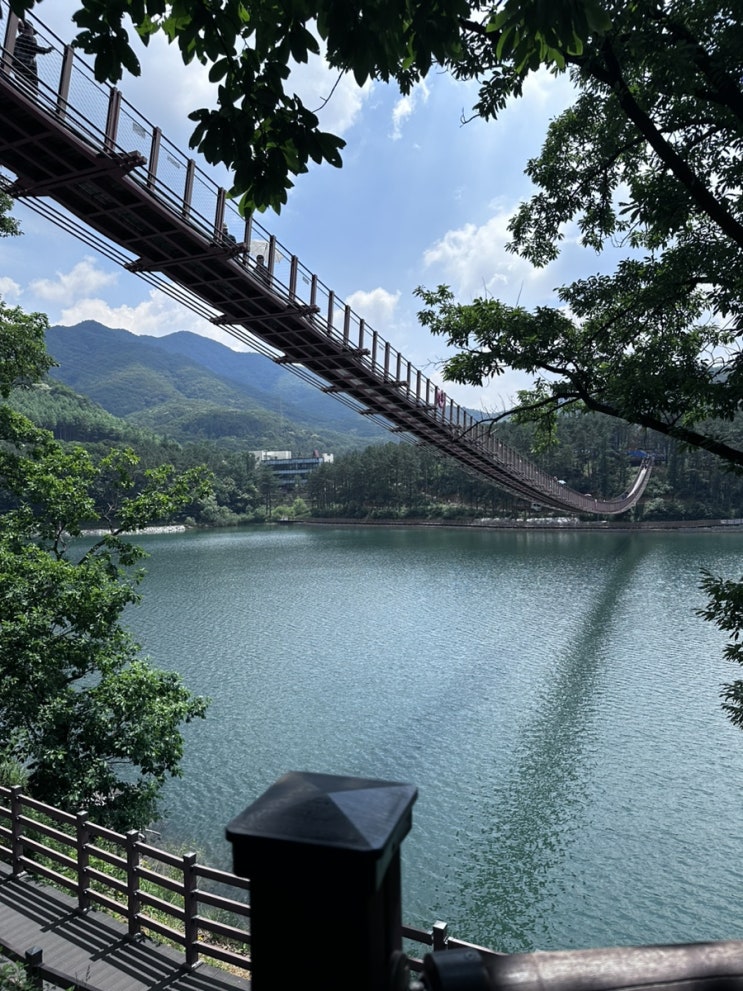  날씨 좋은 날의 마장호수 #파주 #출렁다리