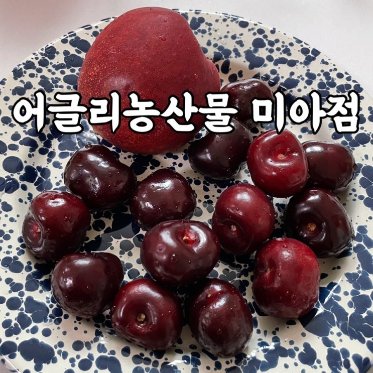  미아사거리과일가게 어글리농산물 미아점 맛있고 저렴한 못난이농산물 후기