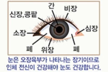  황반 변성(ft. 루테인)
