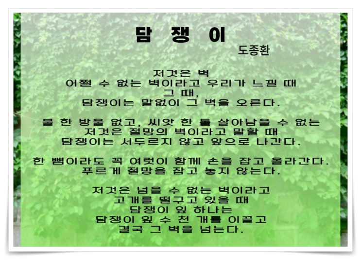  벽 앞에서 도종환 담쟁이