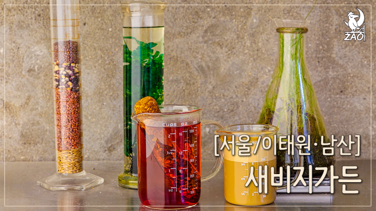  이태원 경리단길 카페 식물연구소 같은 비건디저트카페, 새비지가든