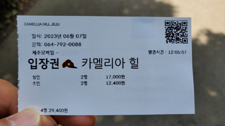  [제주도여행] 수국은 역시 카멜리아힐 [엄마 따라갔다가 내가 힐링한 곳][포토존][엄마와 세 아들]