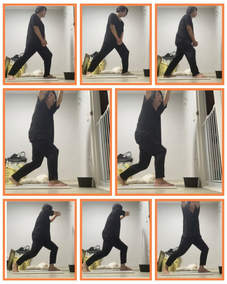  영양의 밸런스를 위한 앱소브2(링크밸런스9일차)