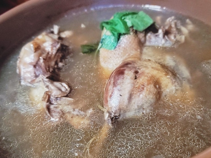  계룡산 동학사 맛집 가막골 산삼 오리백숙 드셔보세요