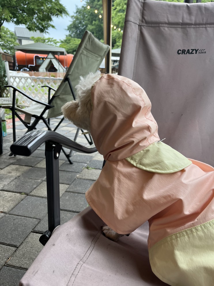  올 여름 비 많이 온다니까 우비 준비 필수