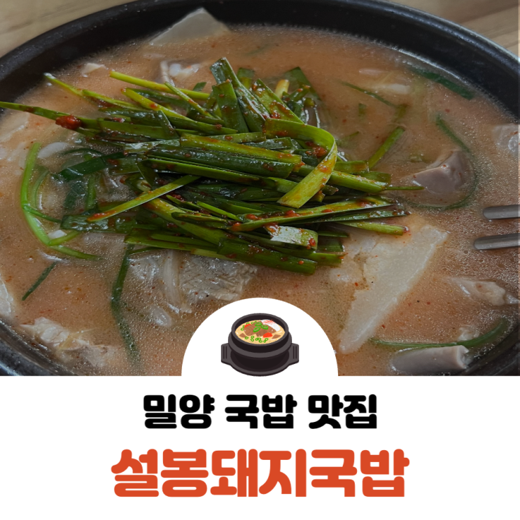  밀양 시원한 국물이 좋은 맛집 설봉돼지국밥
