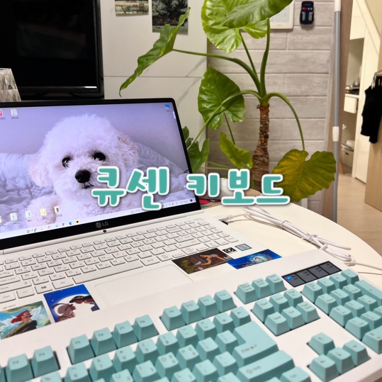  멤브레인 큐센 유선 키보드 / 민트 컬러로 화사하게!