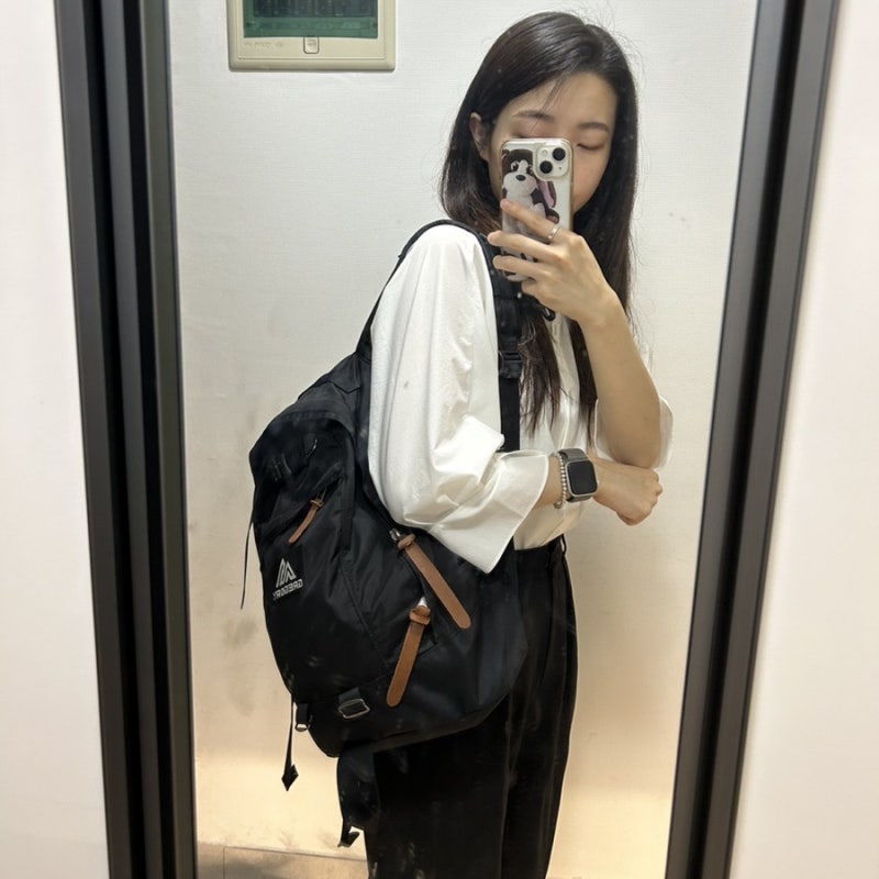 [이효리 백팩] 이효리도 멨다! 그레고리 백팩 후기(데이팩,  파인데이 백팩)