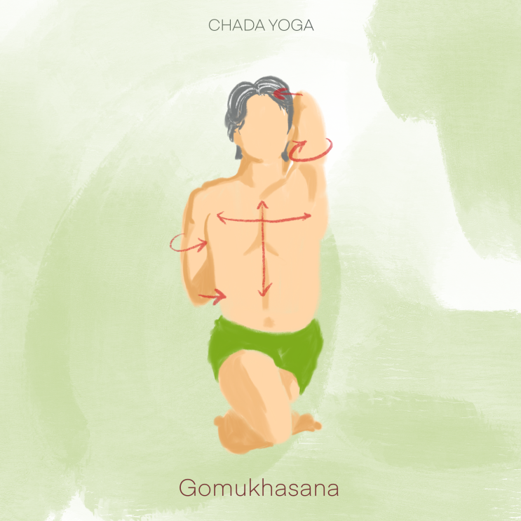  요가 자세_ 고무카아사나 (Gomukhasana)