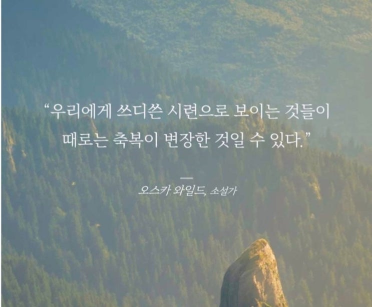  부거사이 [부동산 뉴스와 블로그] 6월 15일(목)