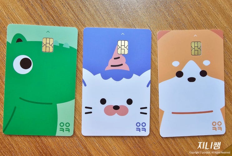  초등 용돈카드 아이쿠카 신청방법 교통카드, 이용내역, 잔고 확인