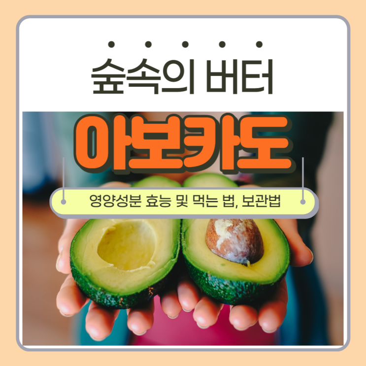  아보카도 영양 성분, 효능 및 먹는 법, 보관법 갈변 현상 영양만점!