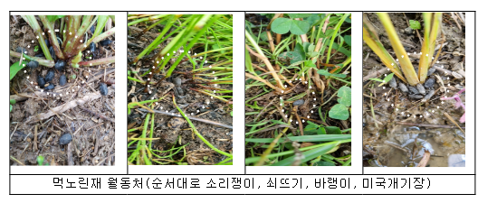 모내기 직후부터 벼 병해충 예방에 관심 기울여야 모내기 직후부터 벼 병해충 예방에 관심 기울여야