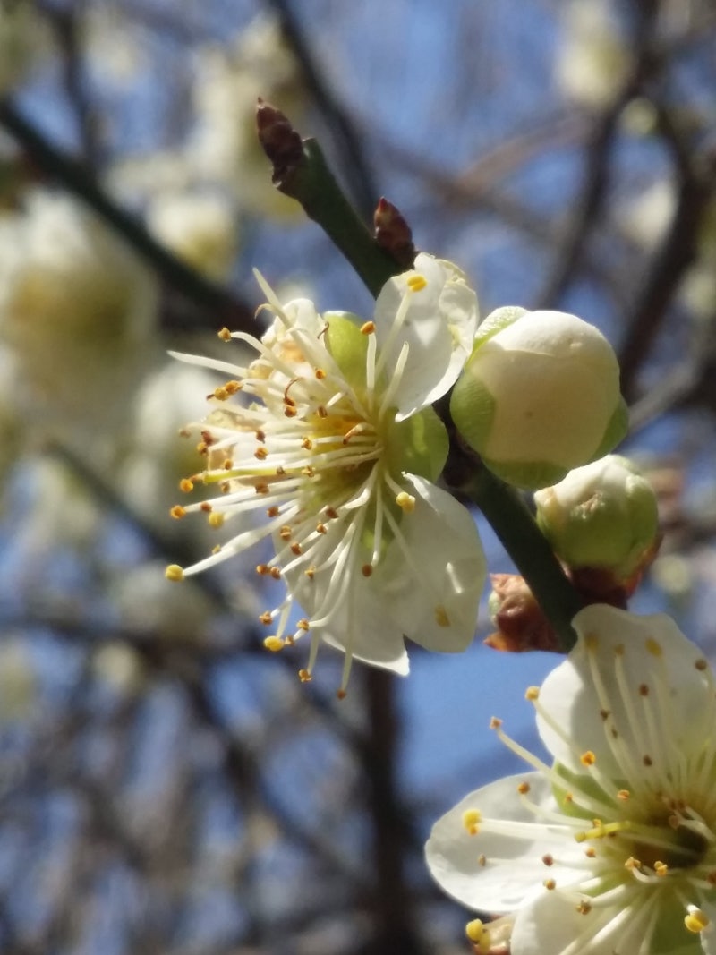 한국쉘석유 : 네이버 블로그