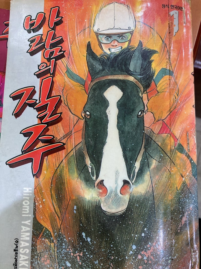 미디어속의 주인공 말 : 네이버 블로그, image size:800x1067