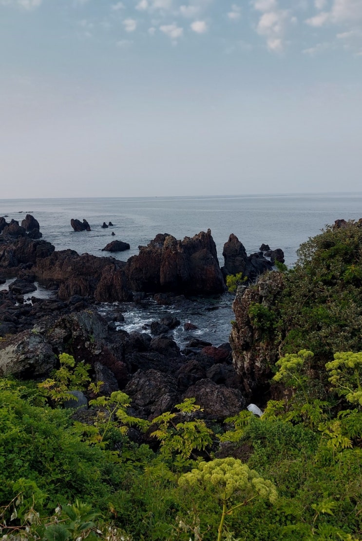 제주도 여행 서귀포 대포항 서귀포 바다와 주상절리를 바라본 산책코스 제주도 여행 서귀포 대포항 서귀포 바다와 주상절리를 바라본 산책코스