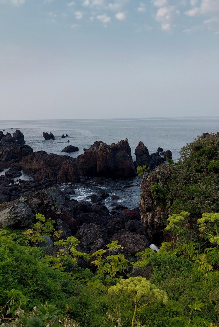 제주도 여행 서귀포 대포항 서귀포 바다와 주상절리를 바라본 산책코스