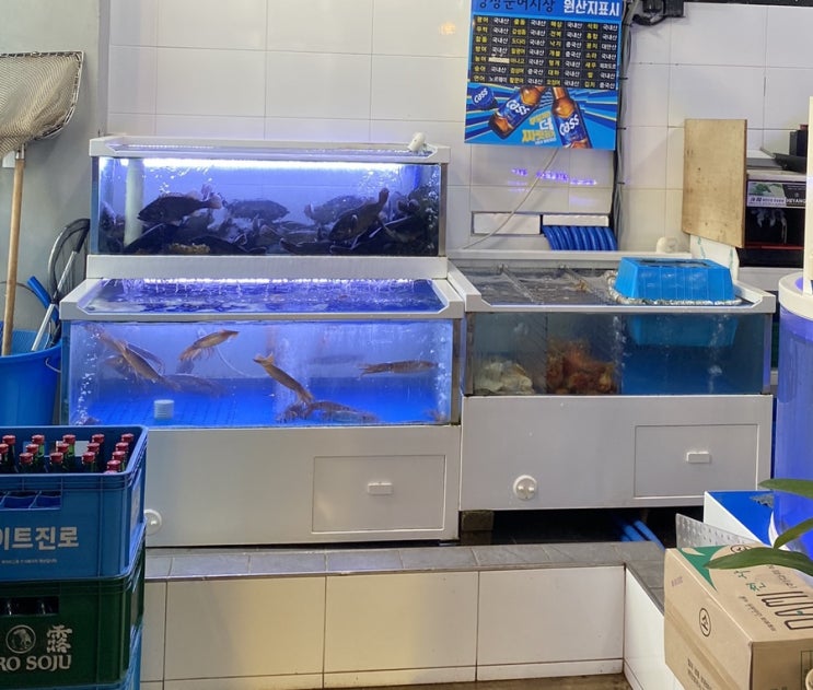  목동 맛집 ‘양장군 어시장’