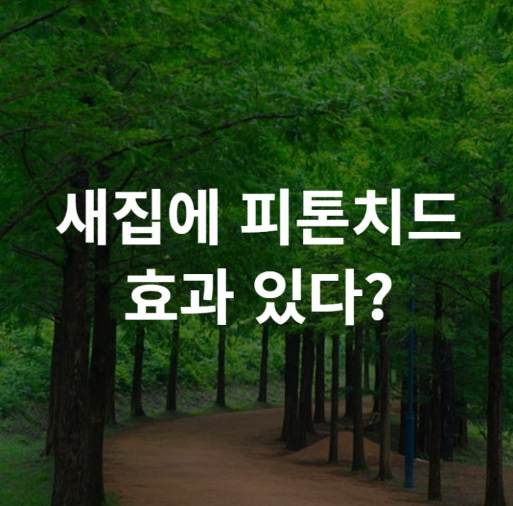  새집 피톤치드 효과가 없는 이유
