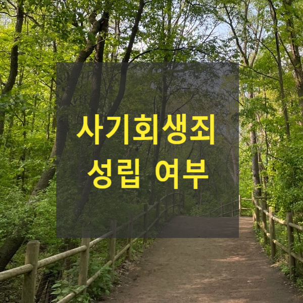  사기회생죄 성립 여부(채무자 회생 및 파산에 관한 법률 제643조, 2008도6950)