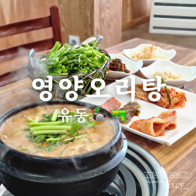  미나리 가득한 광주역 맛집 영양오리탕