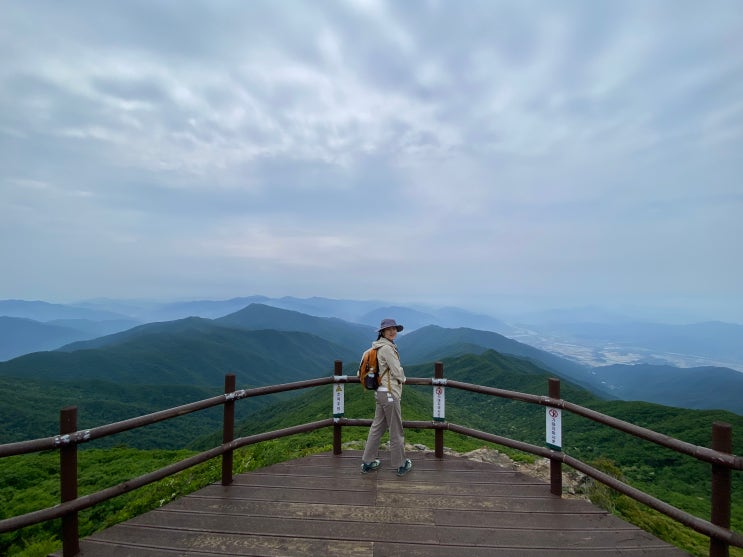  구례 뚜벅이 여행 day2 : 주중 흐린날 지리산 노고단(성삼재 휴게소) 과 빵순이 성지 목월빵집 방문