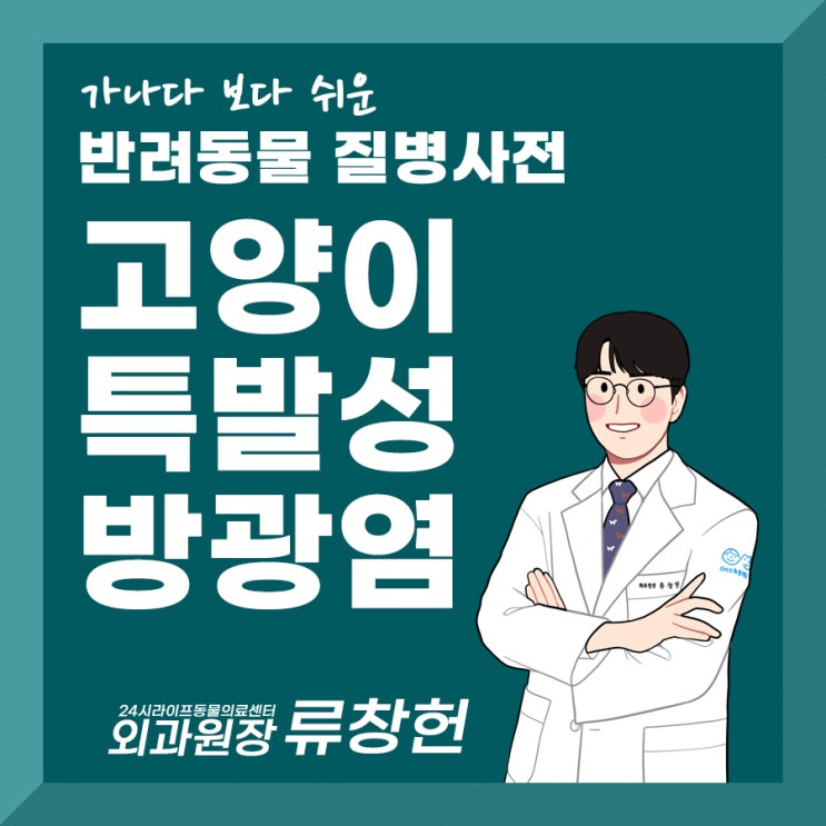 대구고양이동물병원 고양이방광염 FLUTD : 고양이특발성방광염 스트레스 관리가 중요해요