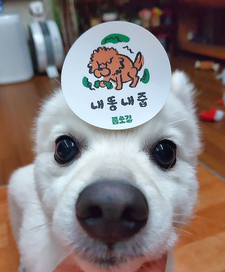 [애견 유산균] 빌리스펫 프로바이오틱스원 395 - 반려동물 강아지 고양이 유산균 추천