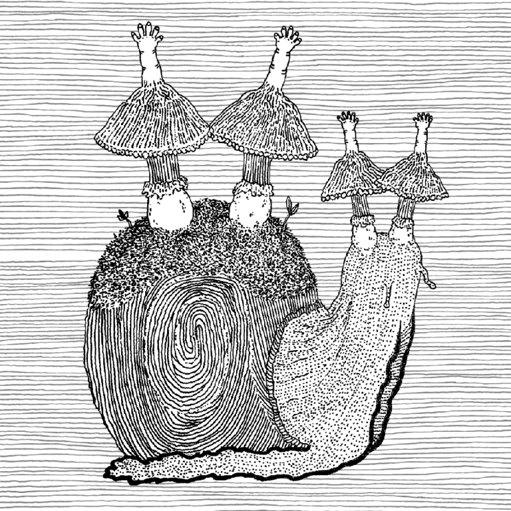 musnail(달팽이버섯) illustration