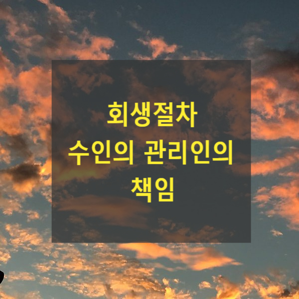  회생절차 수인의 관리인의 책임