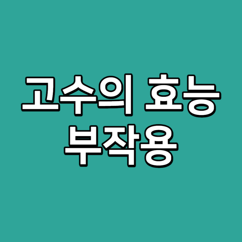 고수 효능 부작용 먹는법 고수나물 보관법