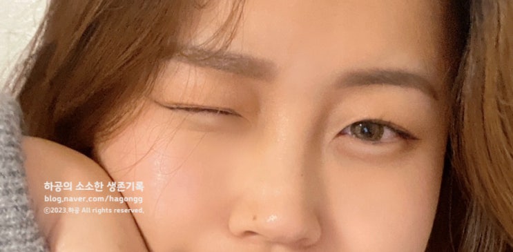  잔흔 있는 눈썹 문신 후기_내돈내산 (탈각 과정, 눈썹 문신 종류)
