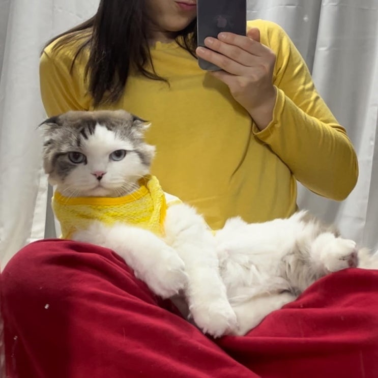  블로그씨 질문; 생존 필수템
