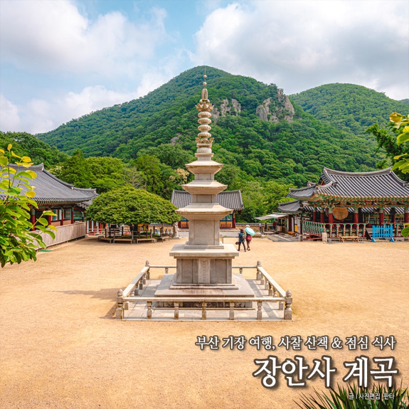 부산 기장 가볼만한곳 사찰 장안사 계곡 만수장가든 부산 기장 여행 : 네이버 블로그