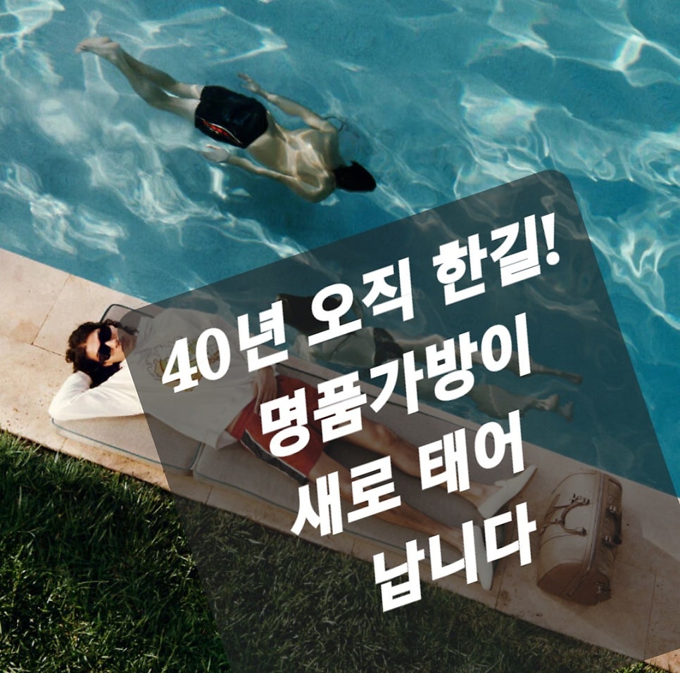 보떼가 사진 3