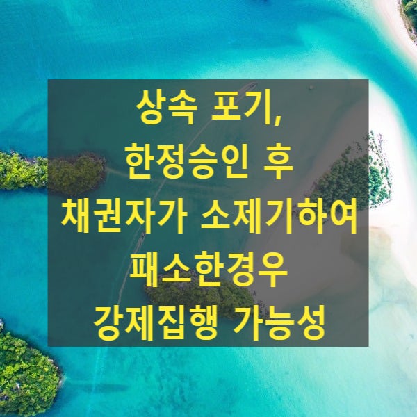  상속 포기, 한정승인 후 채권자가 소제기하여 패소한경우 강제집행 가능성(한정승인가능,상속포기불가, 2008다79876)