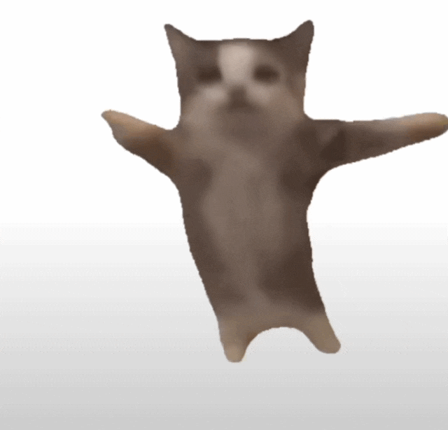 해피 고양이짤 / 해피켓 짤 대방출 (해피해피 고양이 밈) / 바나나캣 : 네이버 블로그