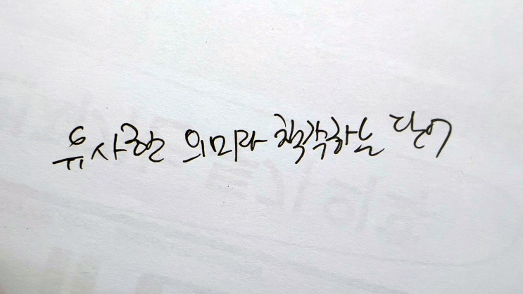  [어휘의미헷갈림방지] 비슷한 의미로 착각하는 단어