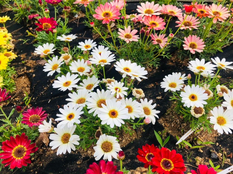 남양주 산들소리 수목원 - 가족나들이